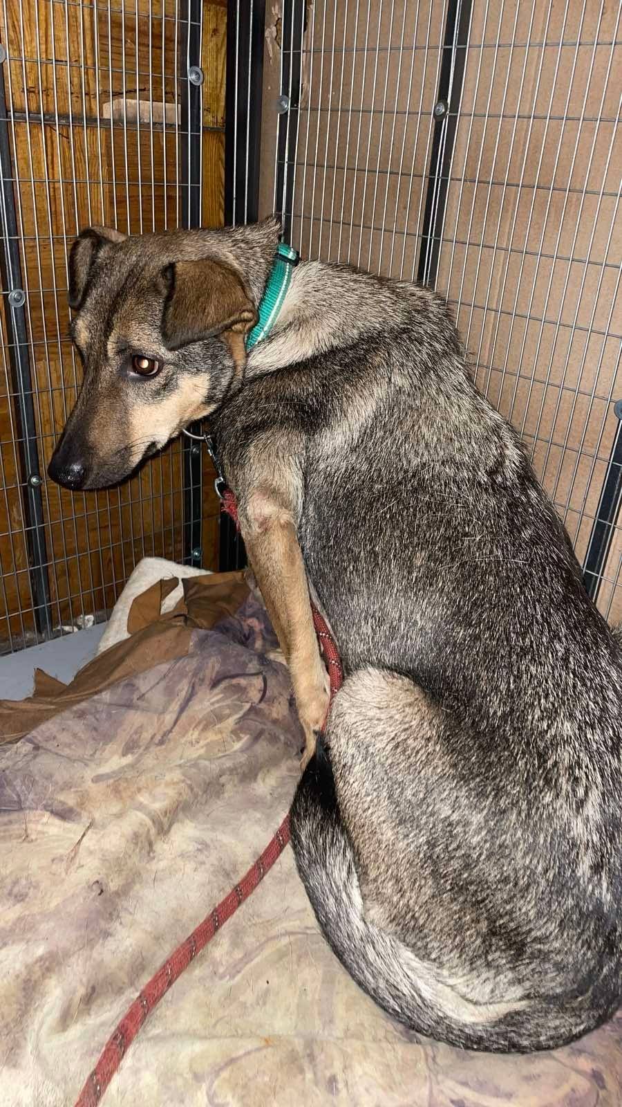 БОБРУЙСК!!! 📢🆘📢🆘‼️Вчера, 12 но...