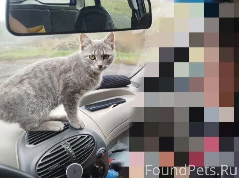 Здравствуйте. 10.11.2025 г. Пр...