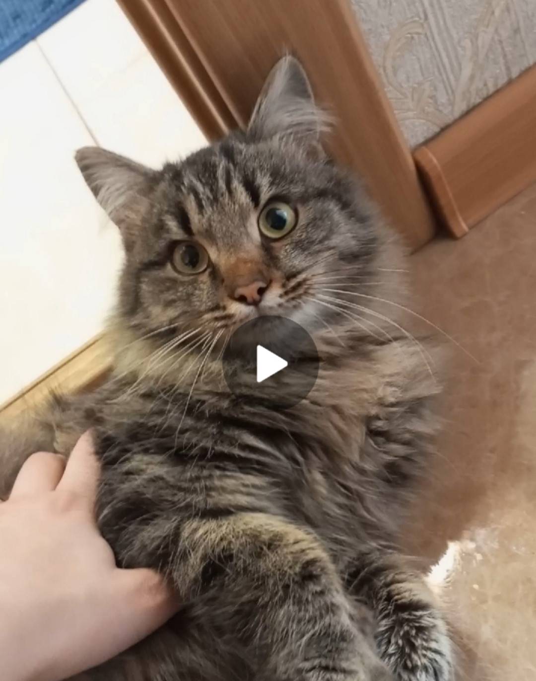 12.11.25 в 18ч на...