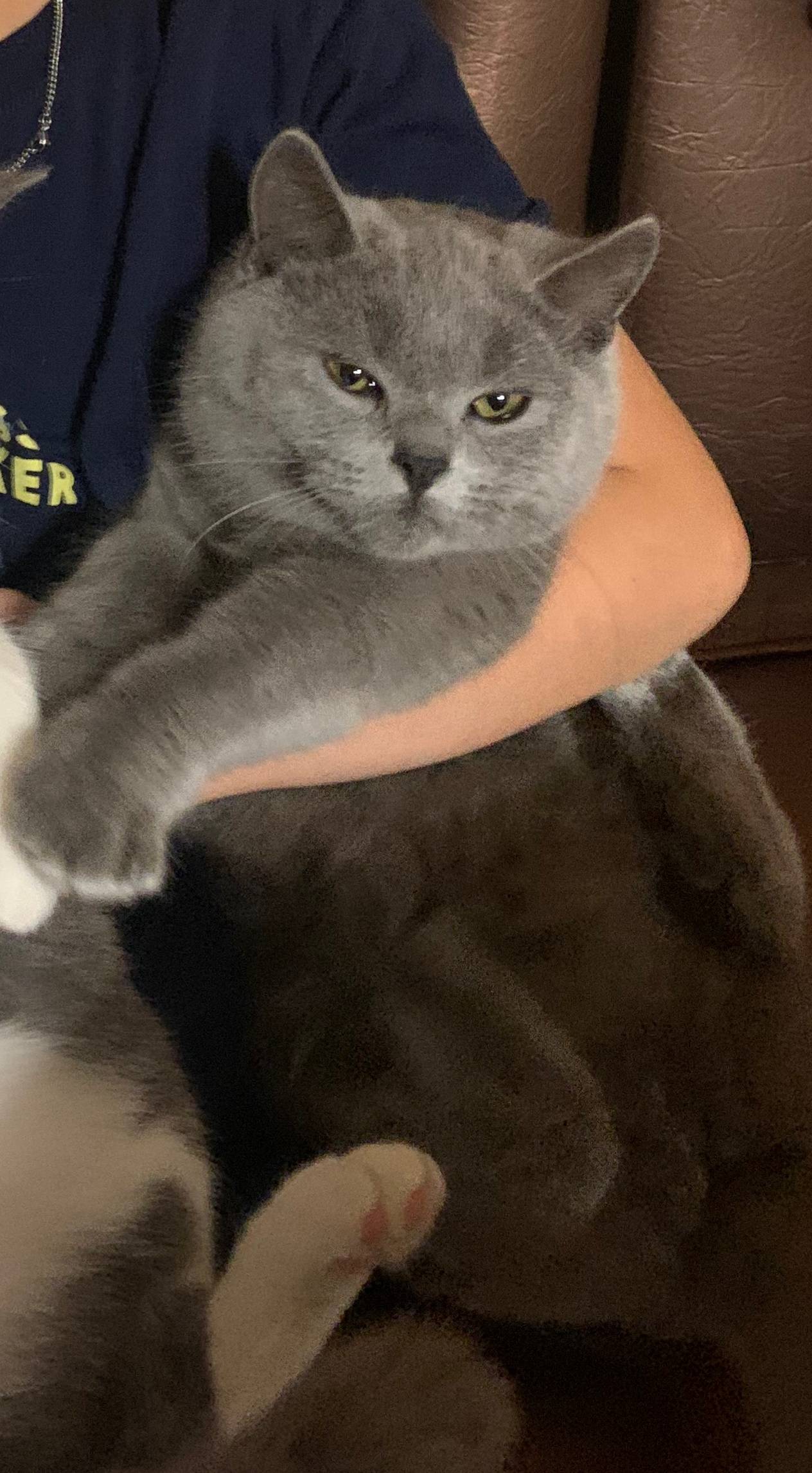 Здравствуйте,сегодня пропала к...