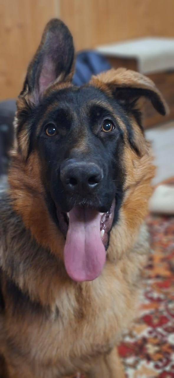 Друзья, ситуация SOS!!!🆘 Пропа...