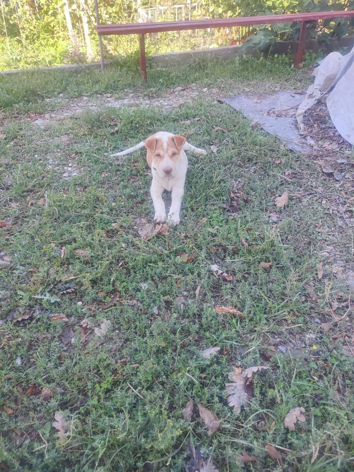 Всем доброе утро. Вчера утром ...