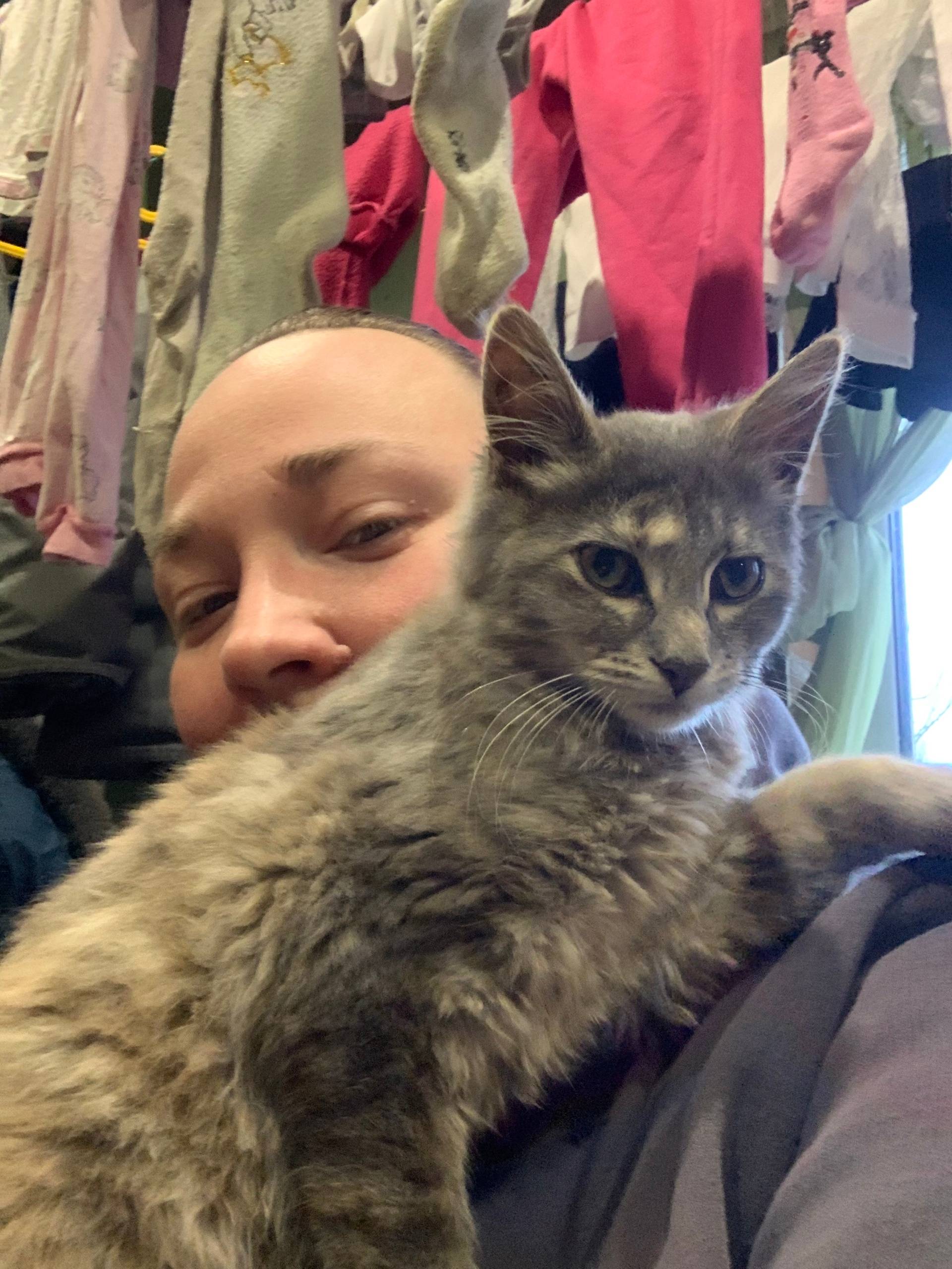 Найден котенок, вроде девочка....