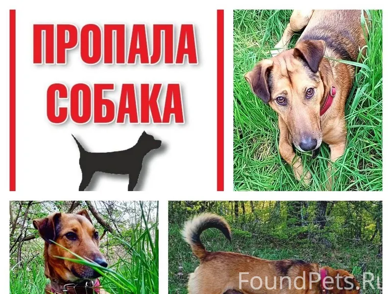 ‼️‼️‼️ПОМОГИТЕ НАЙТИ‼️‼️‼️ Мес...