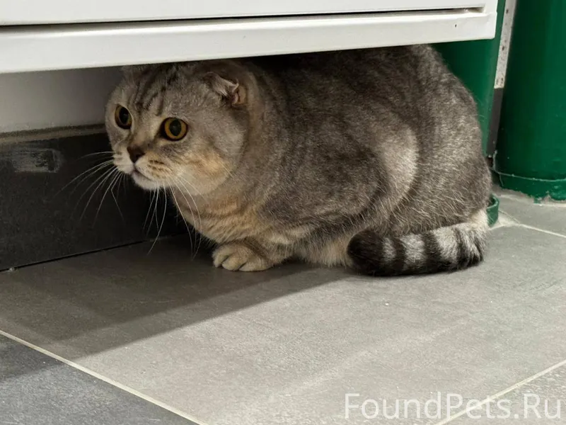 В ЖК Левада 12.11 найдена...