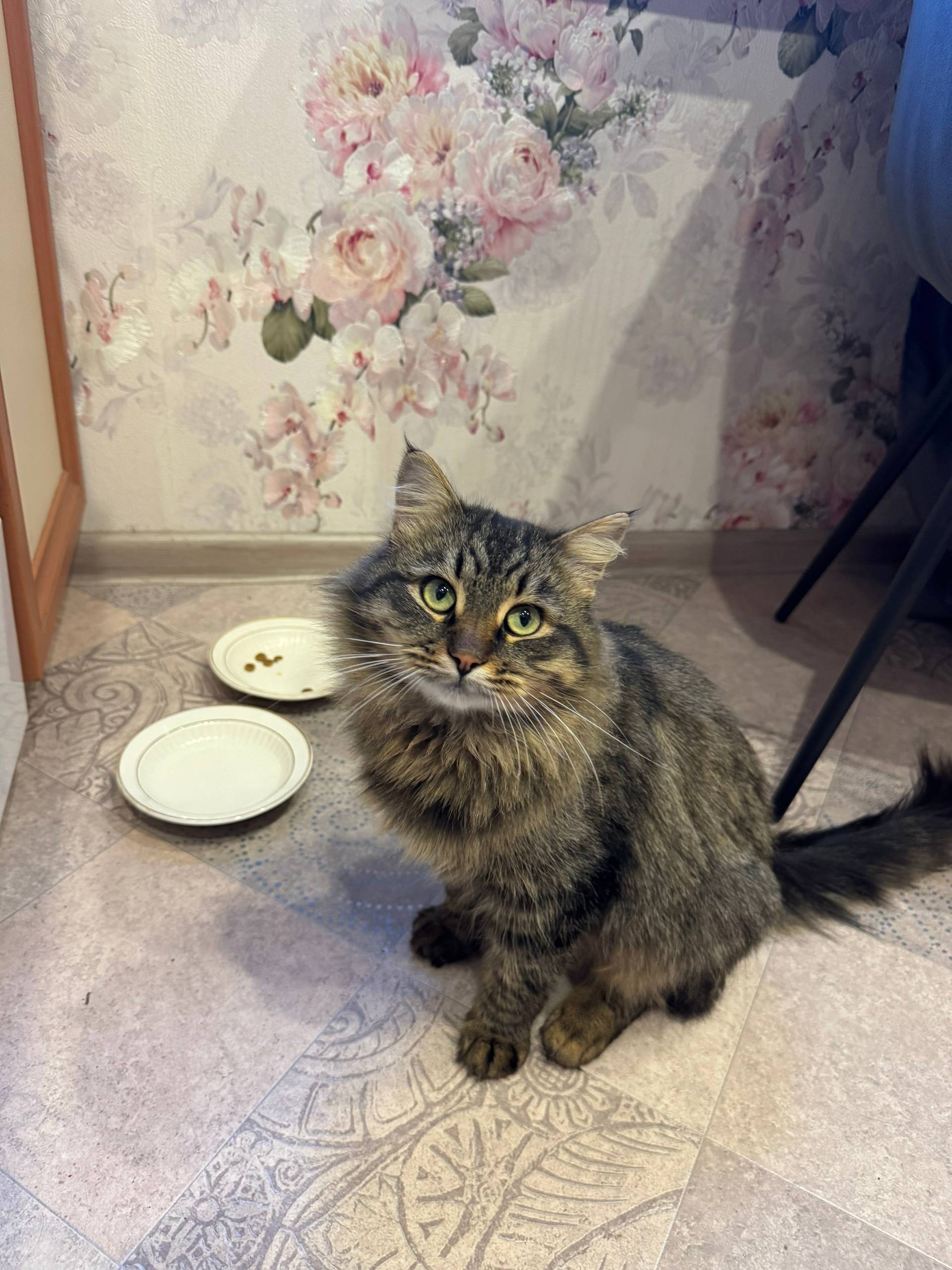 СРОЧНО! ОЧЕНЬ МАЛО ВРЕМЕНИ! г....