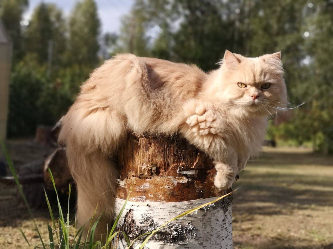 Добрый день! Мы продолжаем пои...