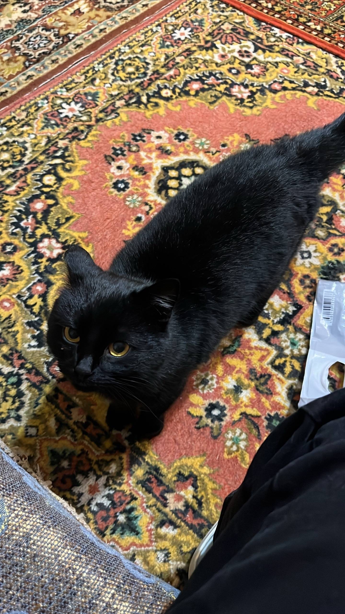 В районе улицы Рабочая пропал ...