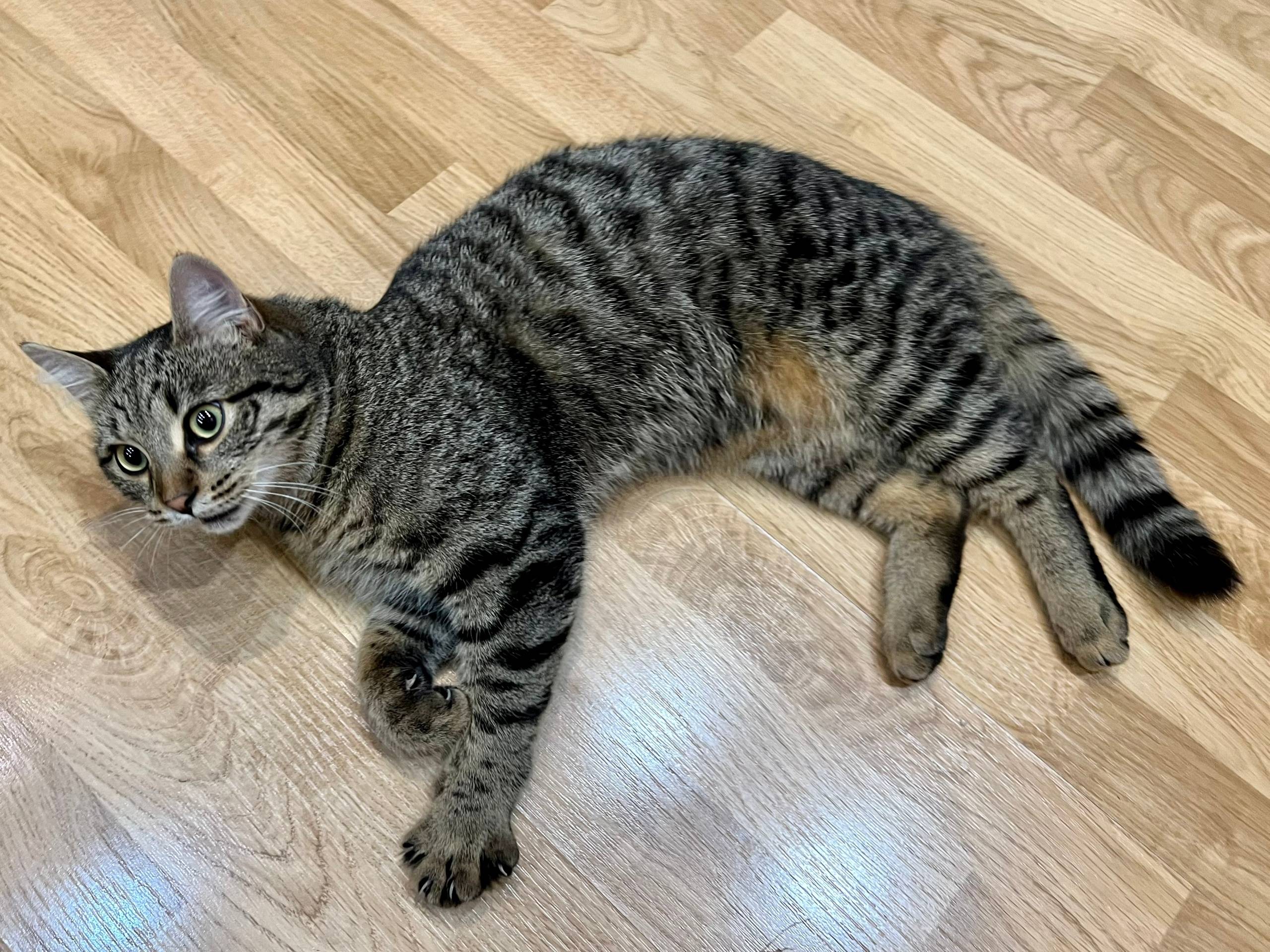 На улице Садовникова найден ко...