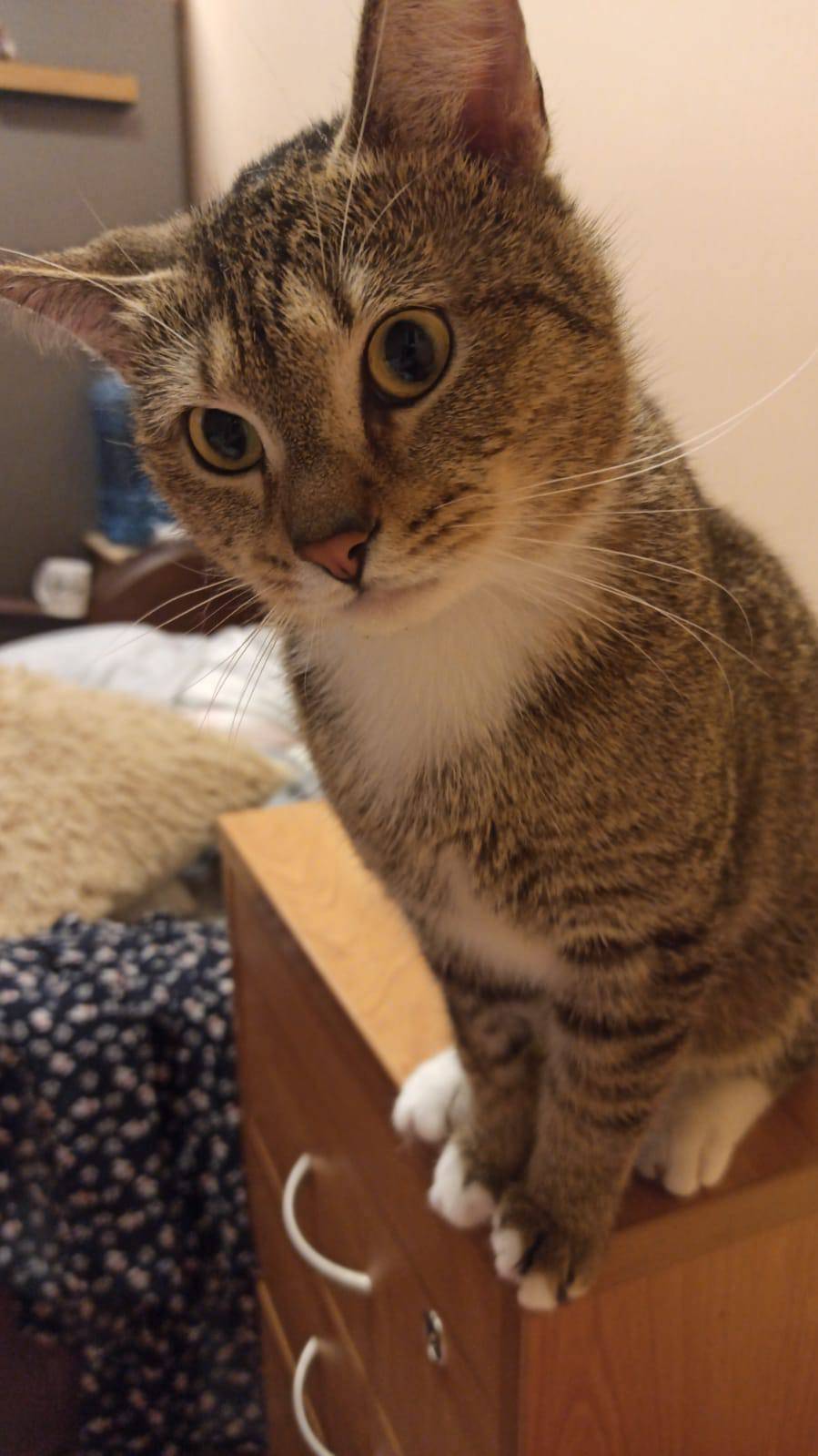 МАКСИМАЛЬНЫЙ РЕПОСТ ❗️ЗЕЛЕНОГР...