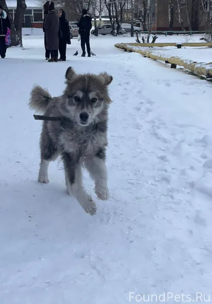 На Политехническом техникуме б...