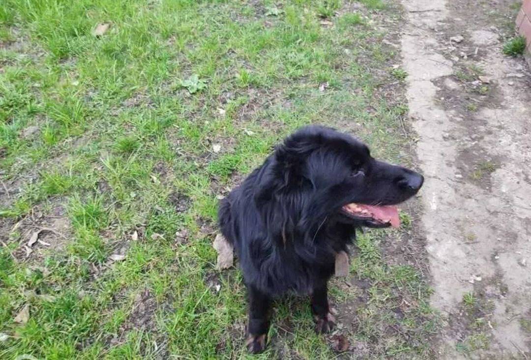 Я потерял: «13.11.2025 на...