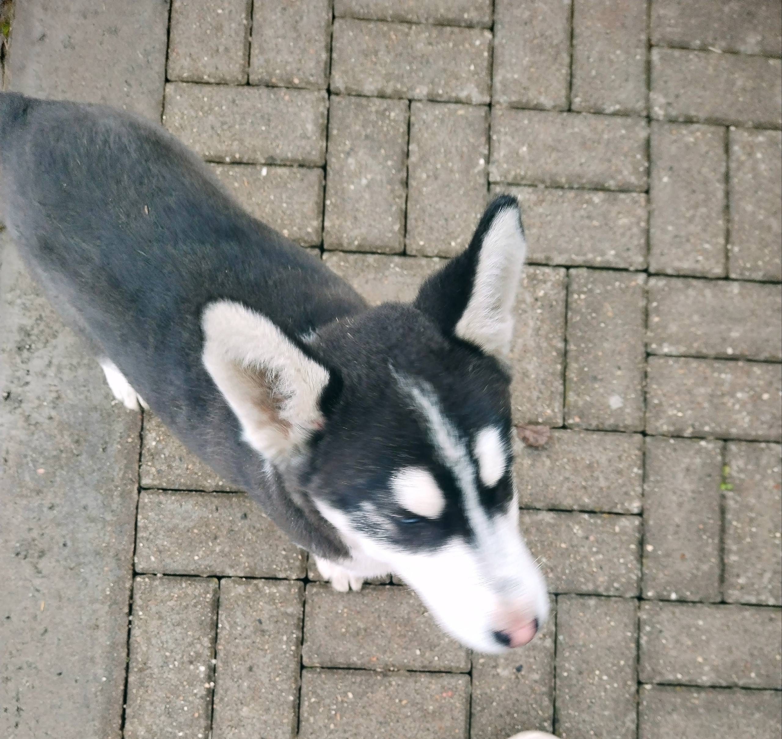 Добрый день, народ. Во дворе "...