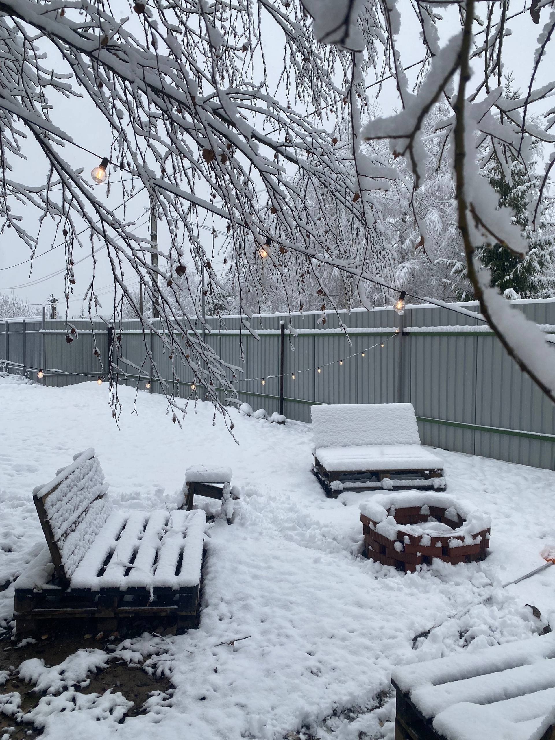 Увидев утром снег дети собирал...