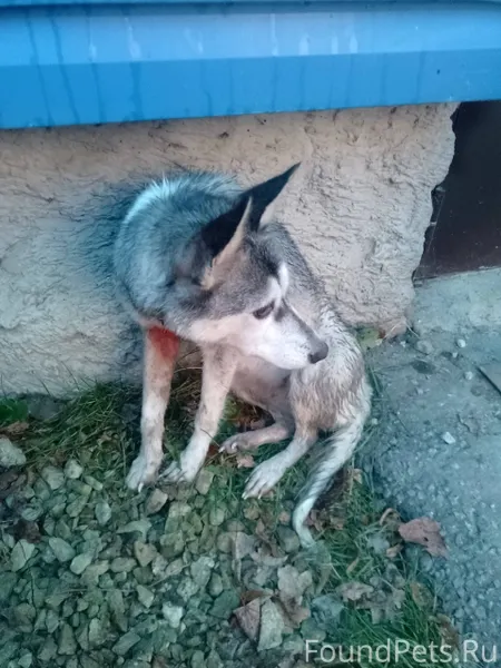 В районе Еврокомфорта, у дома ...