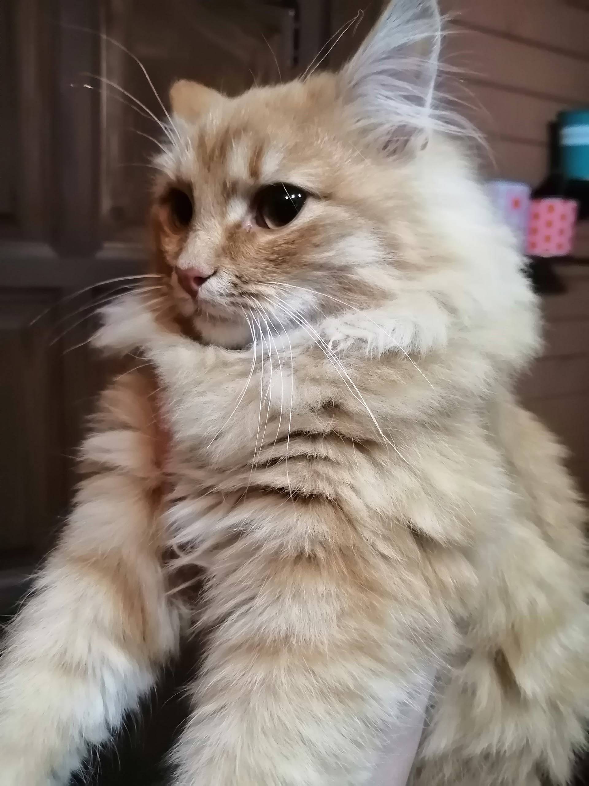 СНТ "ЗАРЯ", СНТ "ВОСХОД", посё...