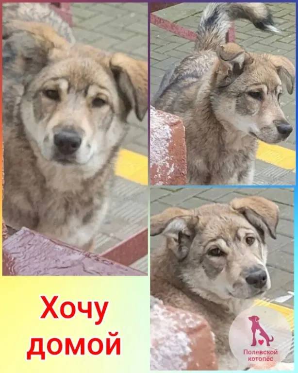 #poterya@pol_shmot Потерялась ...