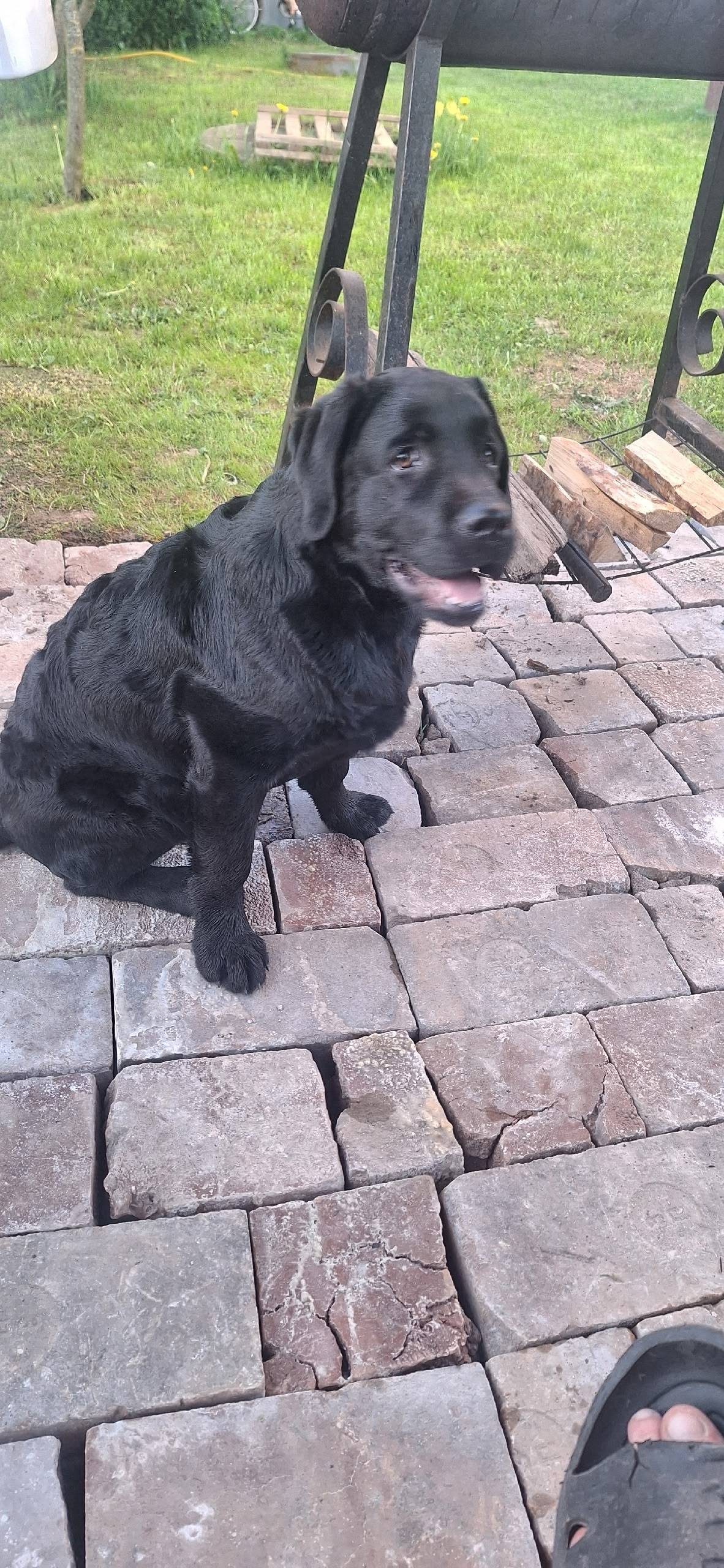 Помогаю информационно. Потерял...