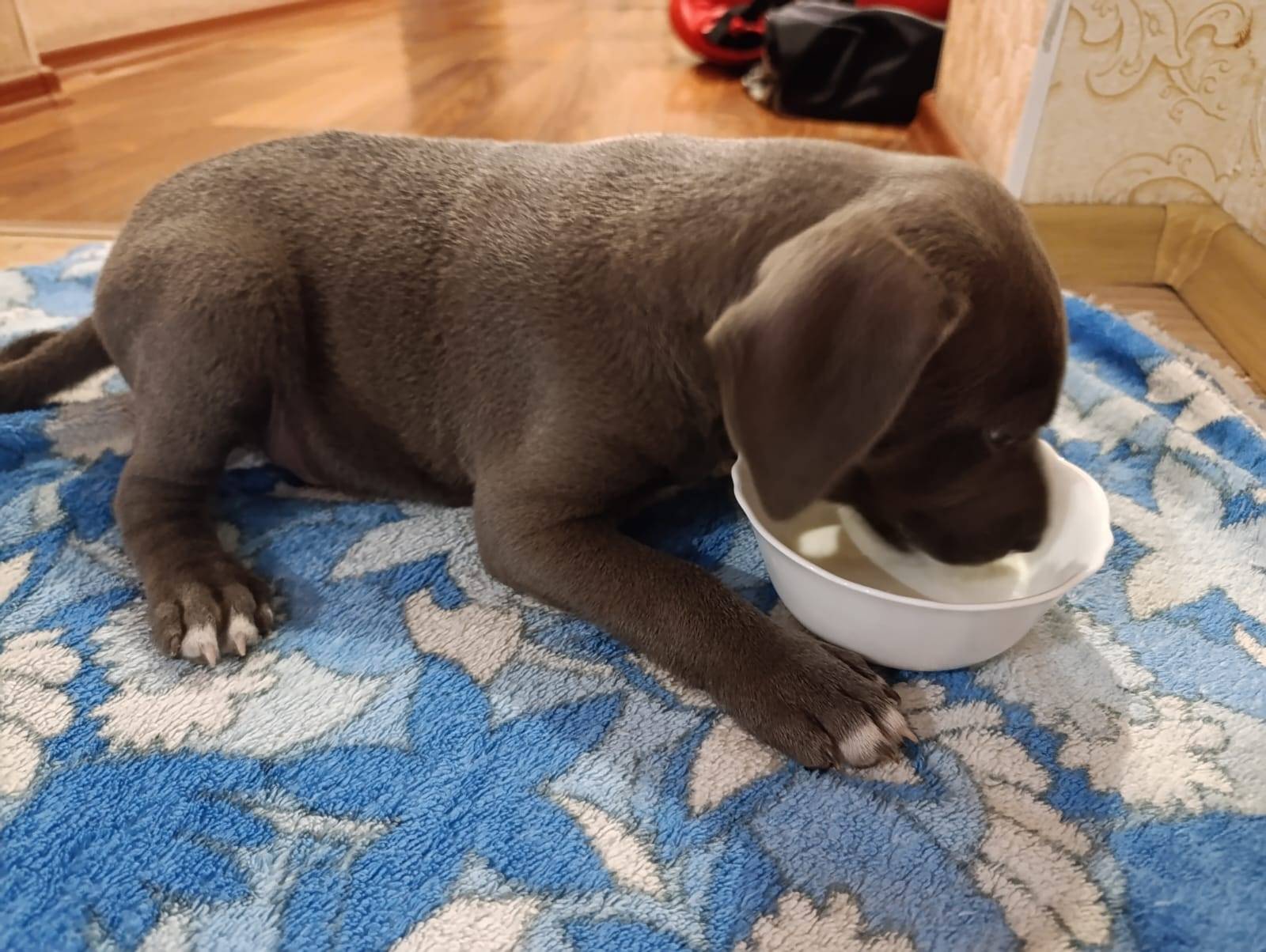 В подвале дома за магазином Ша...