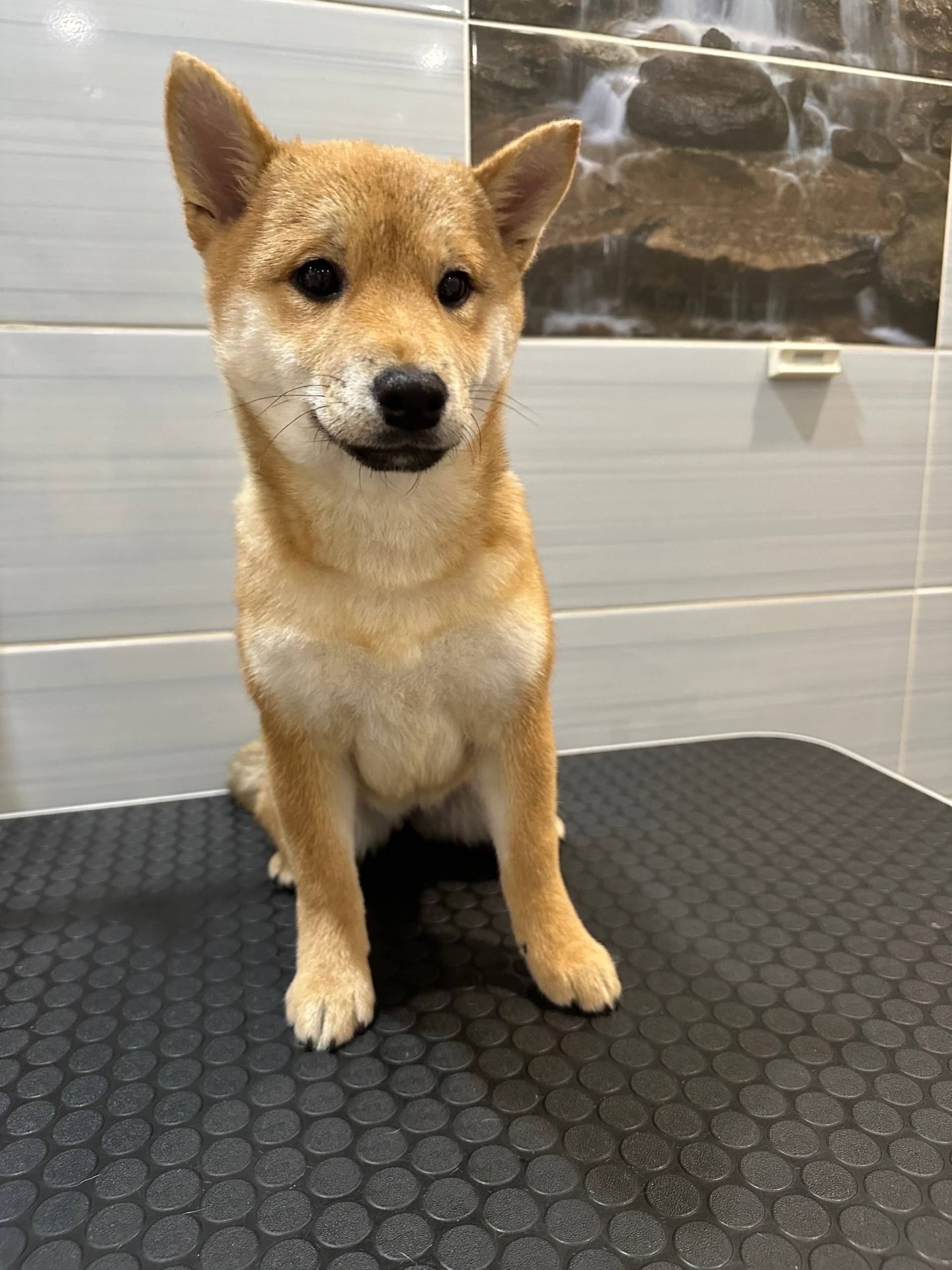 Добрый день! Помогите пожалуйс...