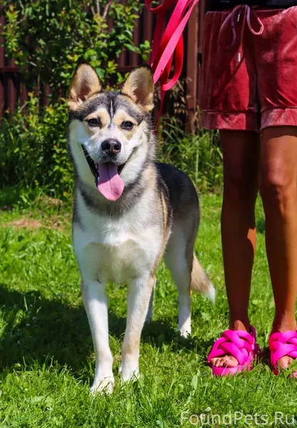 Москва и МО ❤Ася умная, добрая...