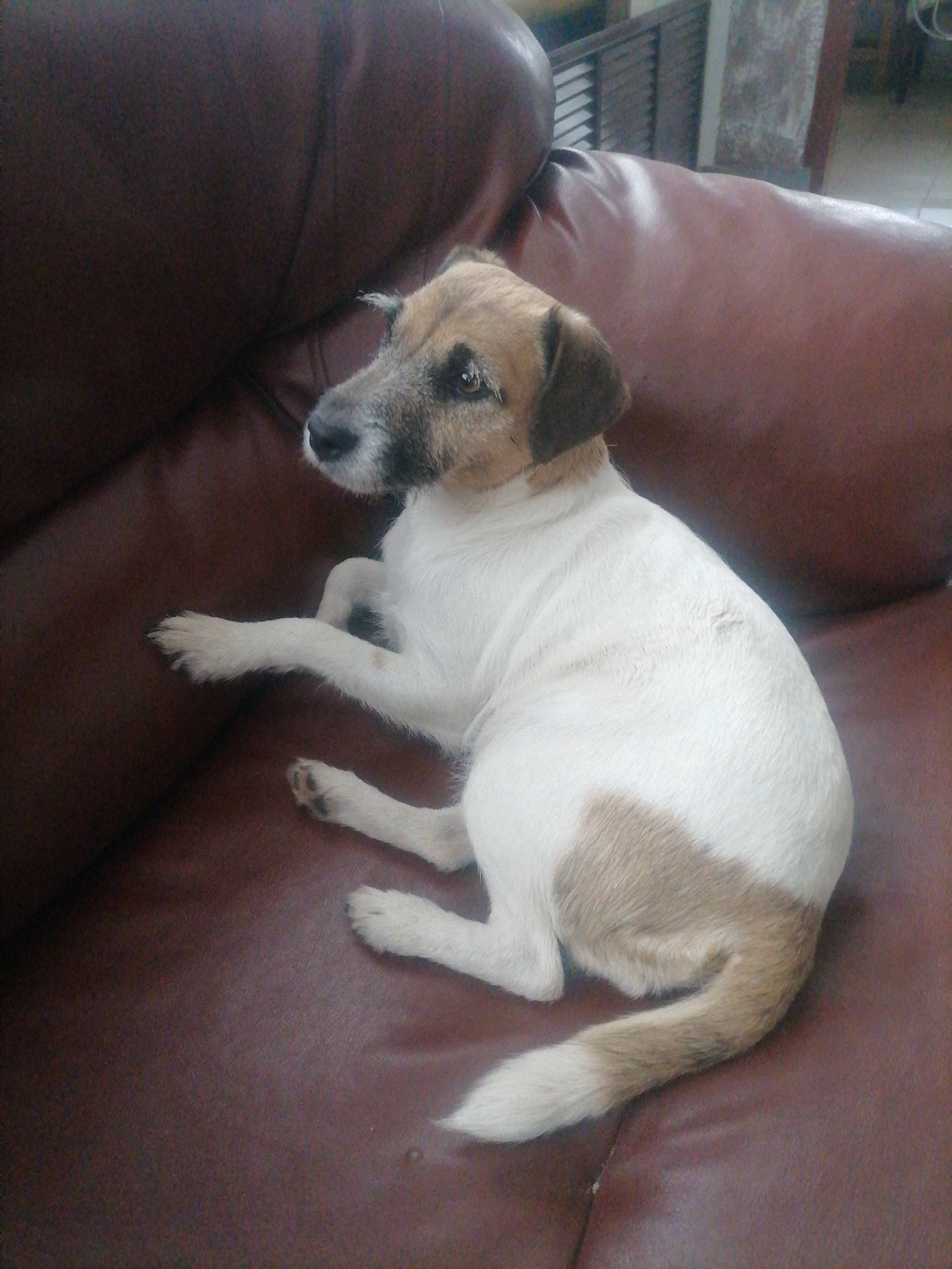 Около гостиницы Кама найдена с...