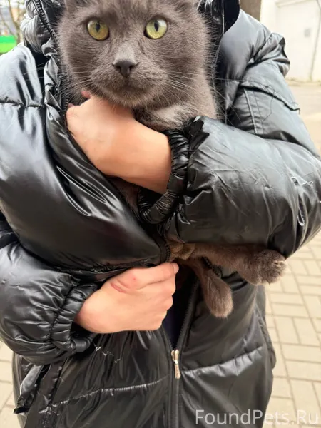 ВАЖНАЯ ИНФОРМАЦИЯ ПРОШУ РАСПРО...