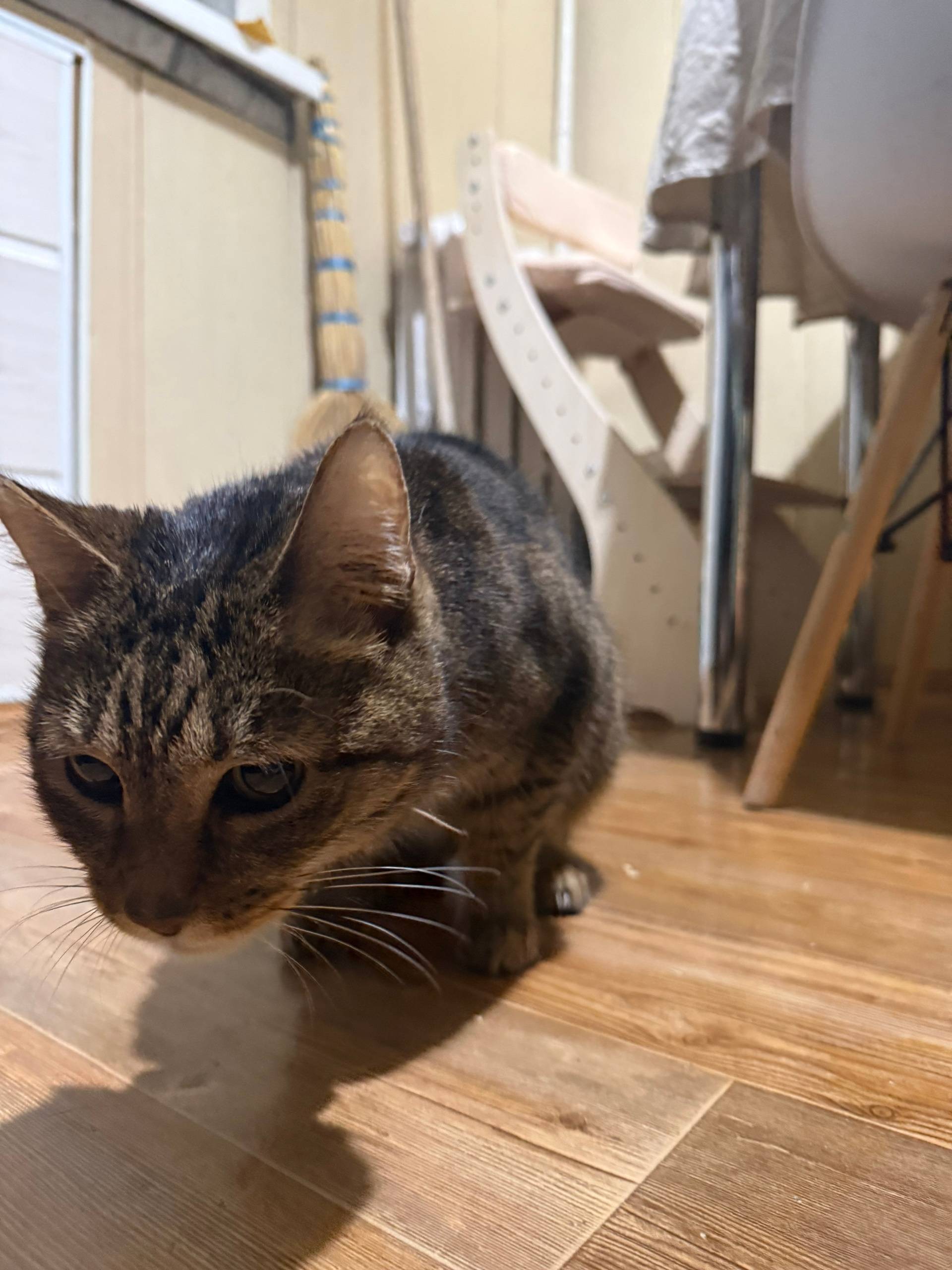 #poterya@pol_shmot На улице Ст...