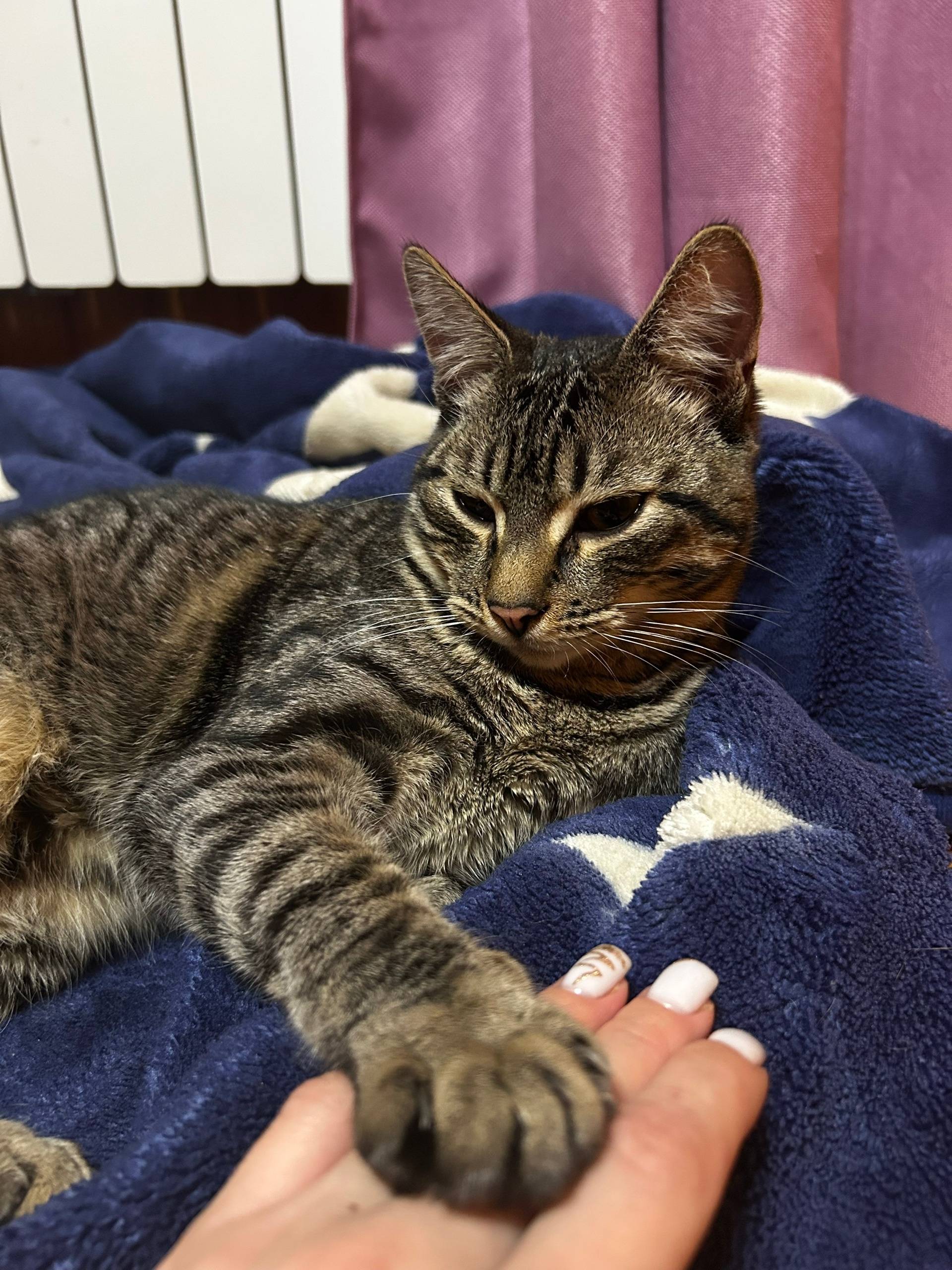 Сегодня, утром , на Гастелло 2...