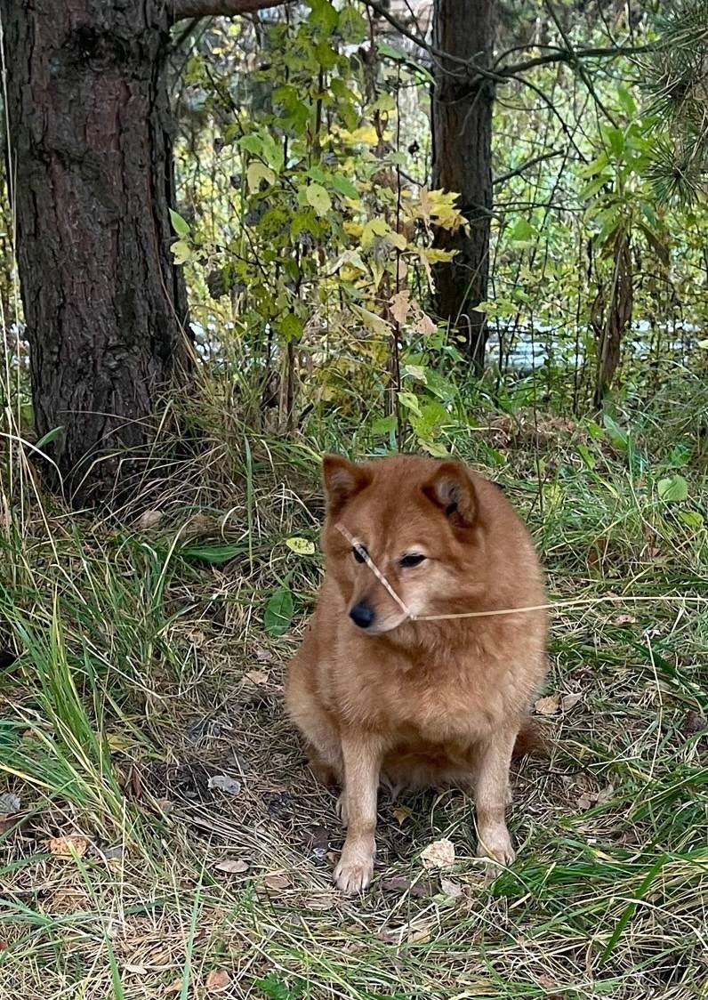 Всем доброго дня! Обращаемся к...