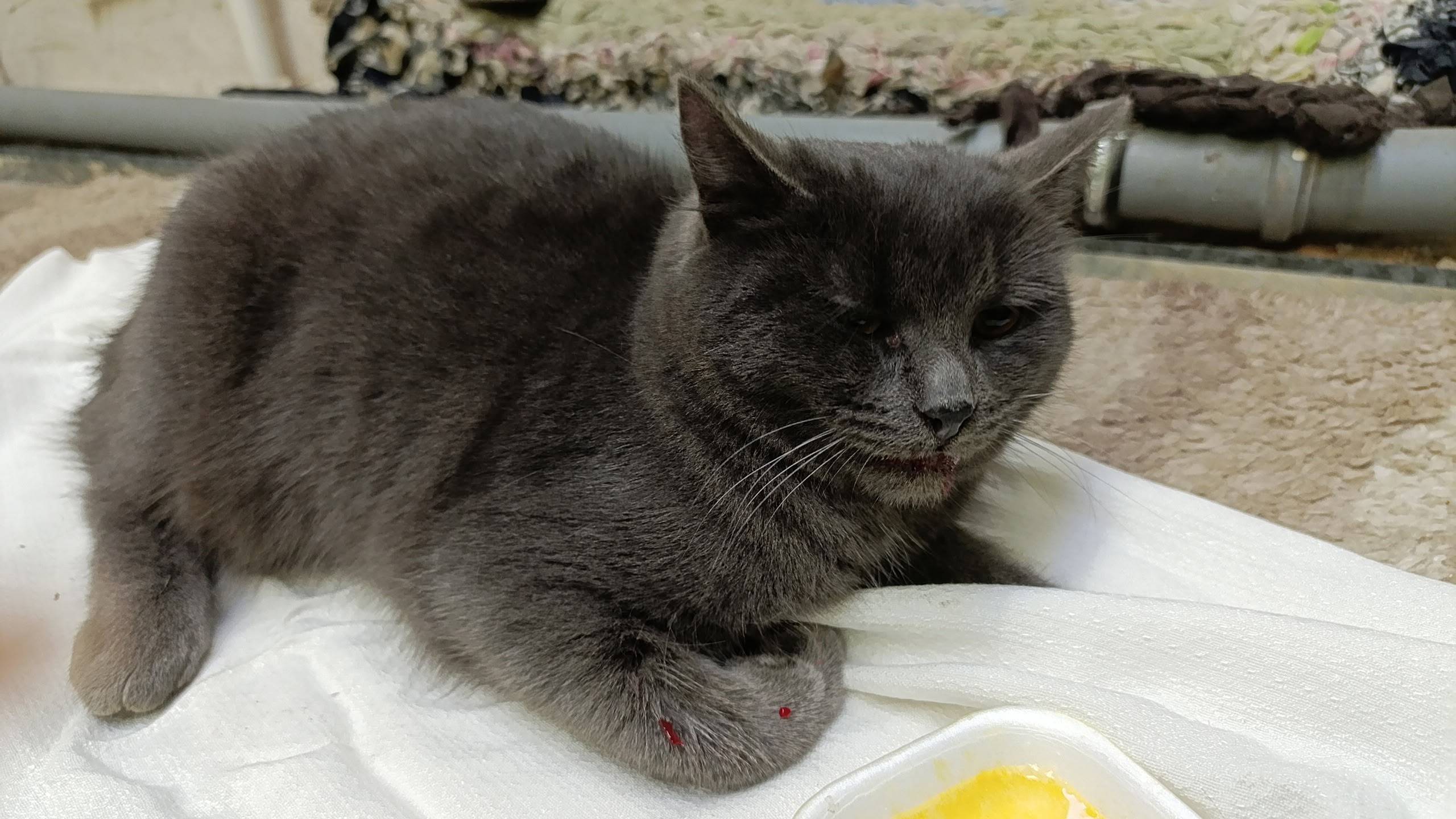 Друзья, пожалуйста, максимальн...