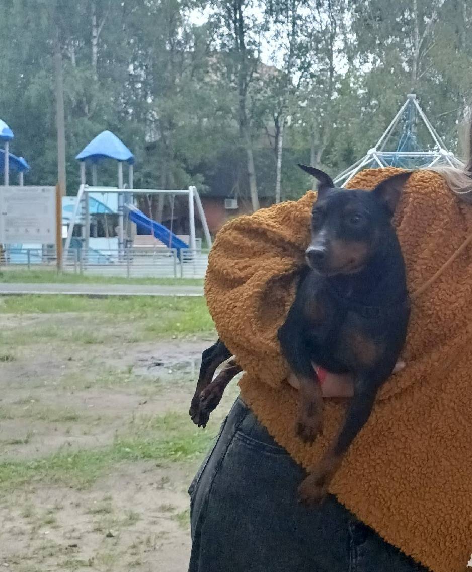 Пожалуйста админ, пропусти! Вч...