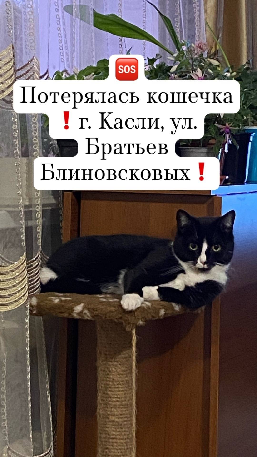 01.11.2025 у нас пропал...