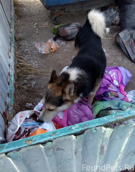 За утро в районе от "Вавилона....