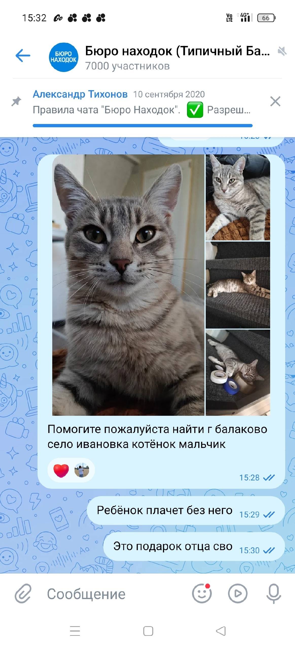 Пропал котёнок г балаково село...