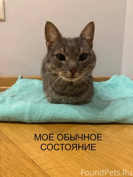 Краснодар Привет, меня зовут Ф...