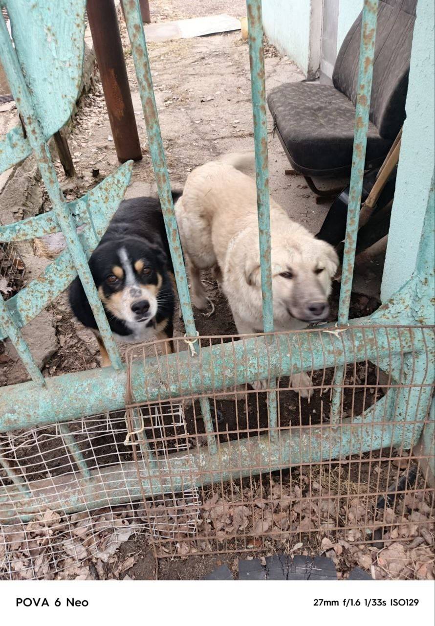 Кашира! Во вторник, 11.11.25.....