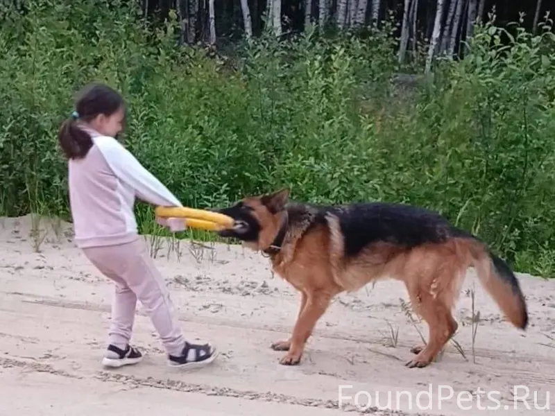Добрый день, помогите найти со...