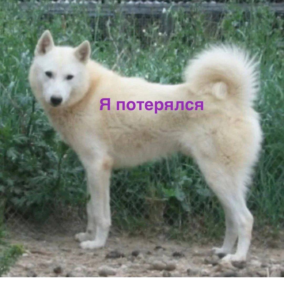 ❗️❗️❗️Помогите!!! Большеболдин...