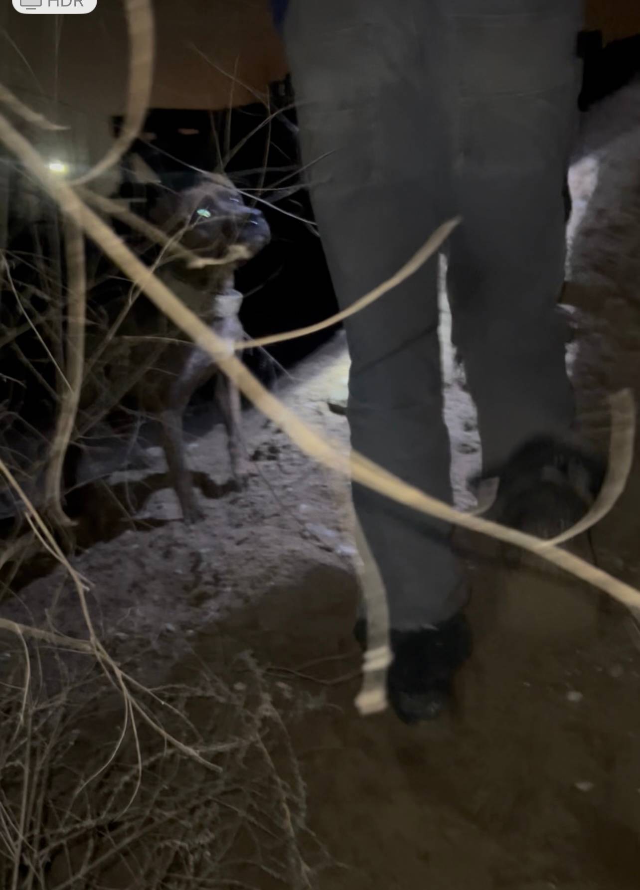 Ребята! Поступила информация п...