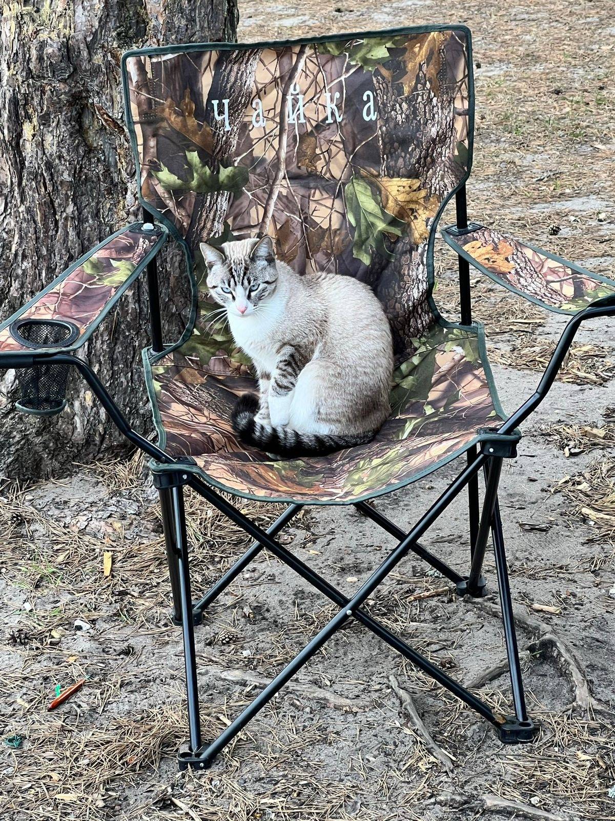 ****** 13.11.25 в 22-00...