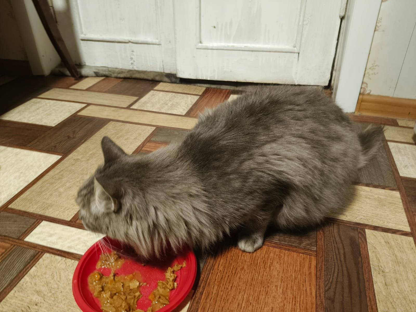 Внимание всем❤️🙏🤝 Пожалуйста,п...