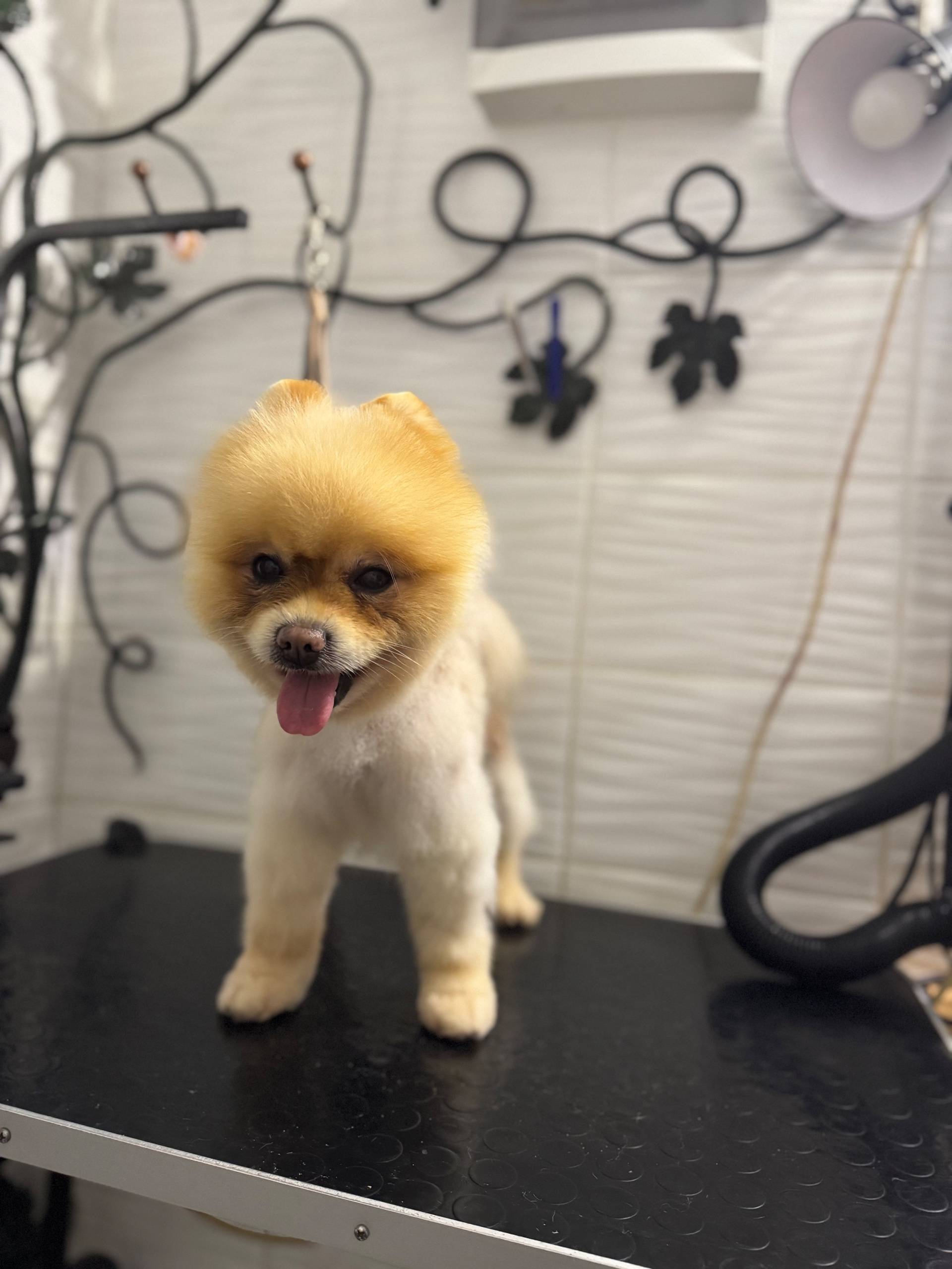 😡😤 Очень хочется ругаться . Сн...