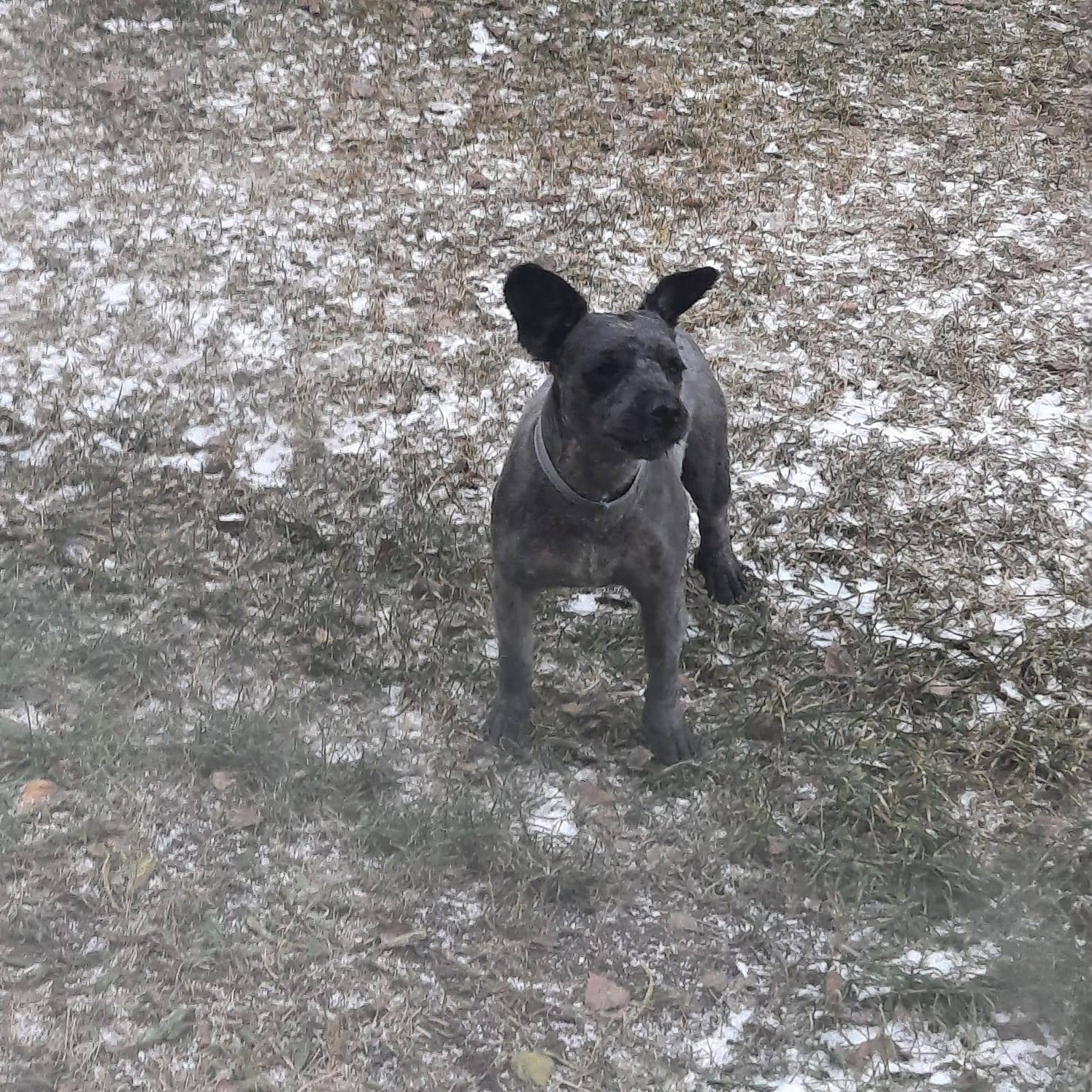 Поселок Верх - Нейвинский, на ...