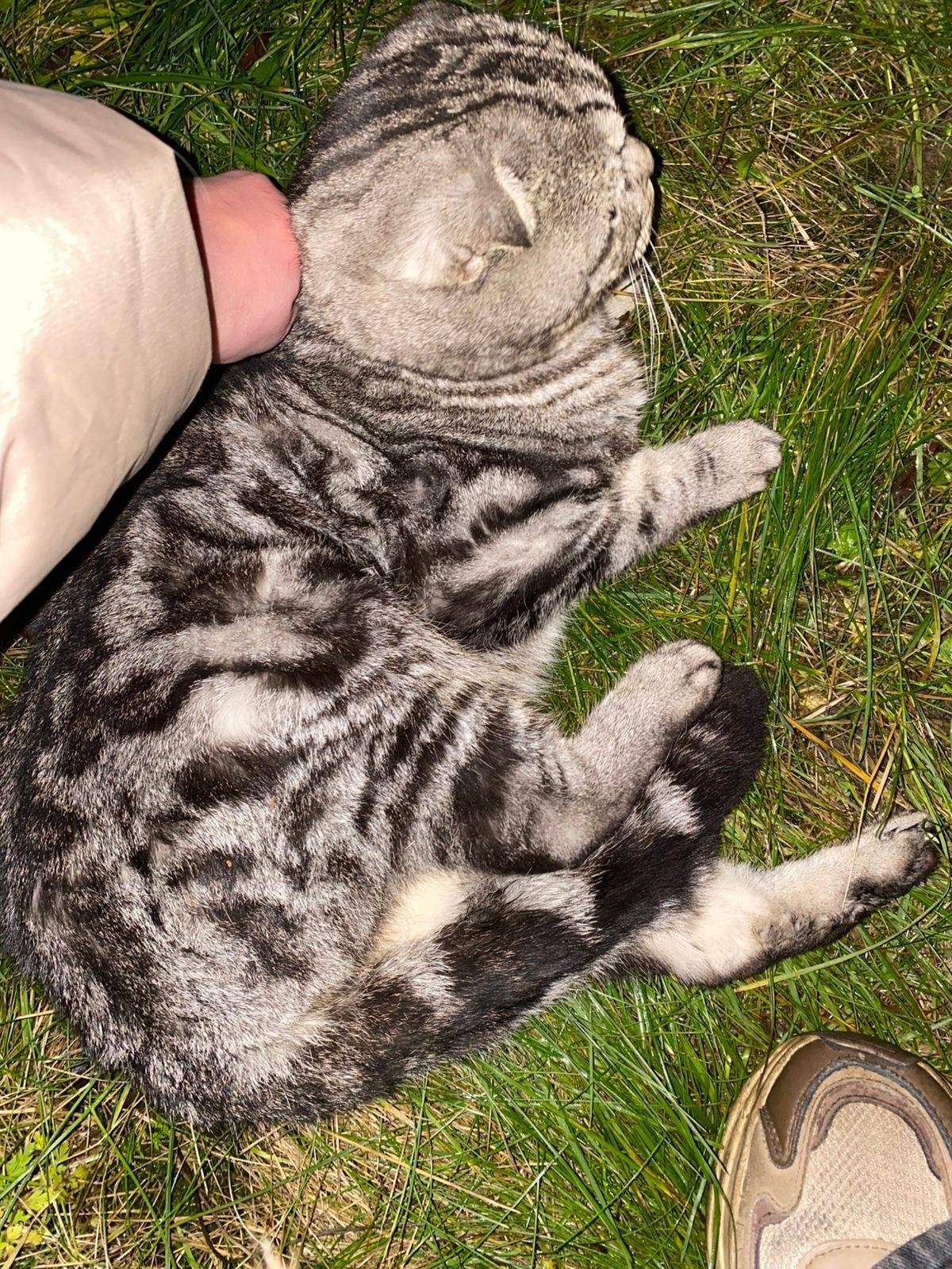 Всем здравствуйте!В районе ули...