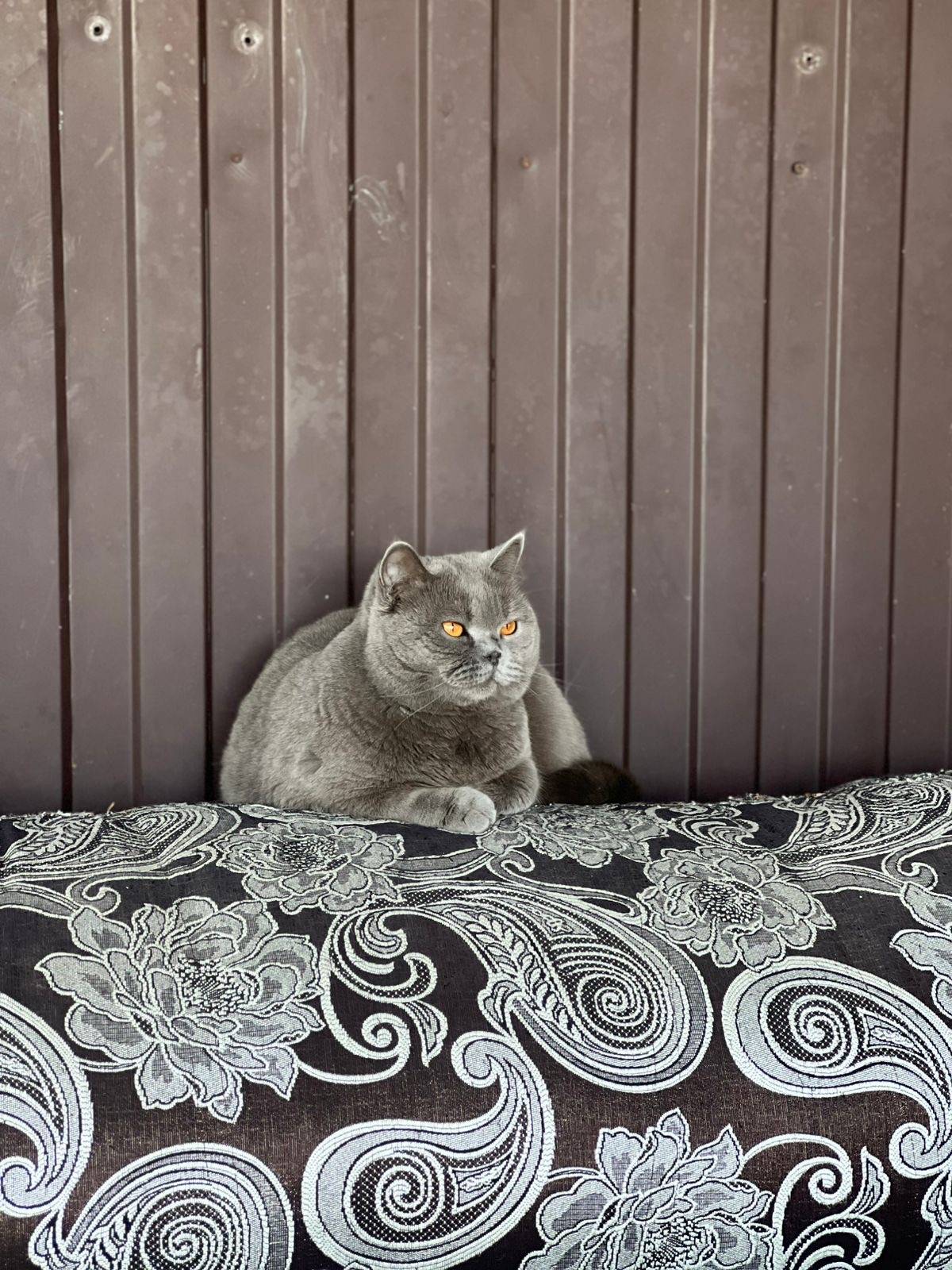 ПОМОГИТЕ НАЙТИ 🙏🏻