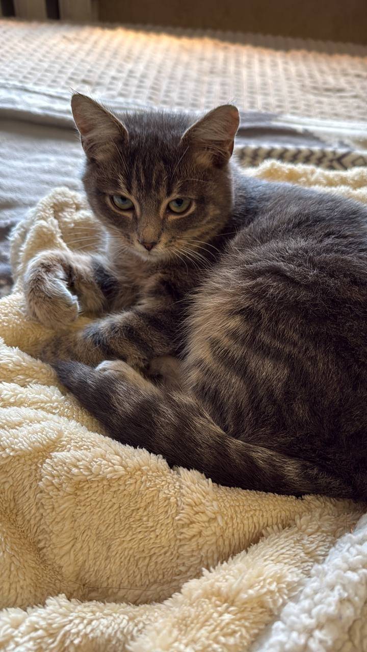 Друзья, на улице Курчатова в О...