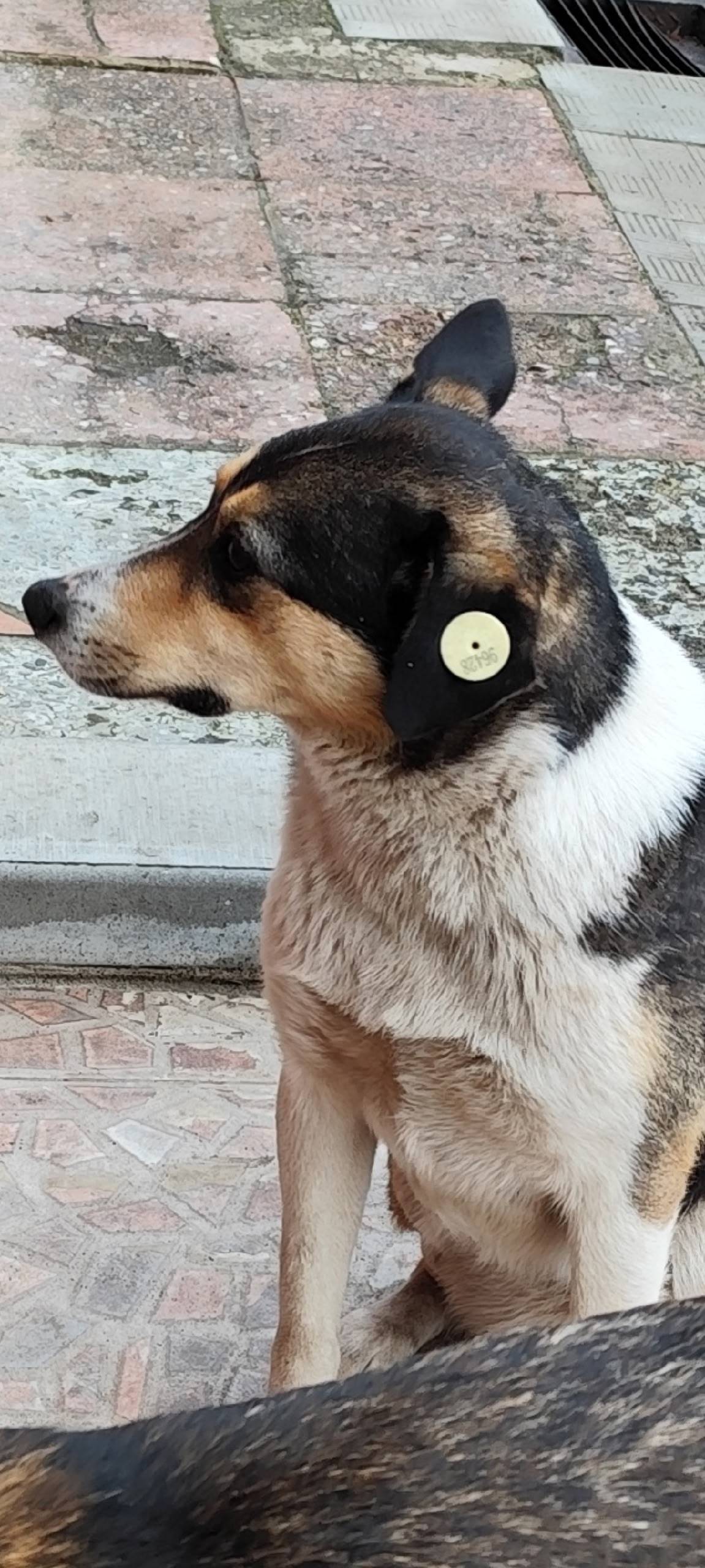 Помогите, пожалуйста, в поиске...