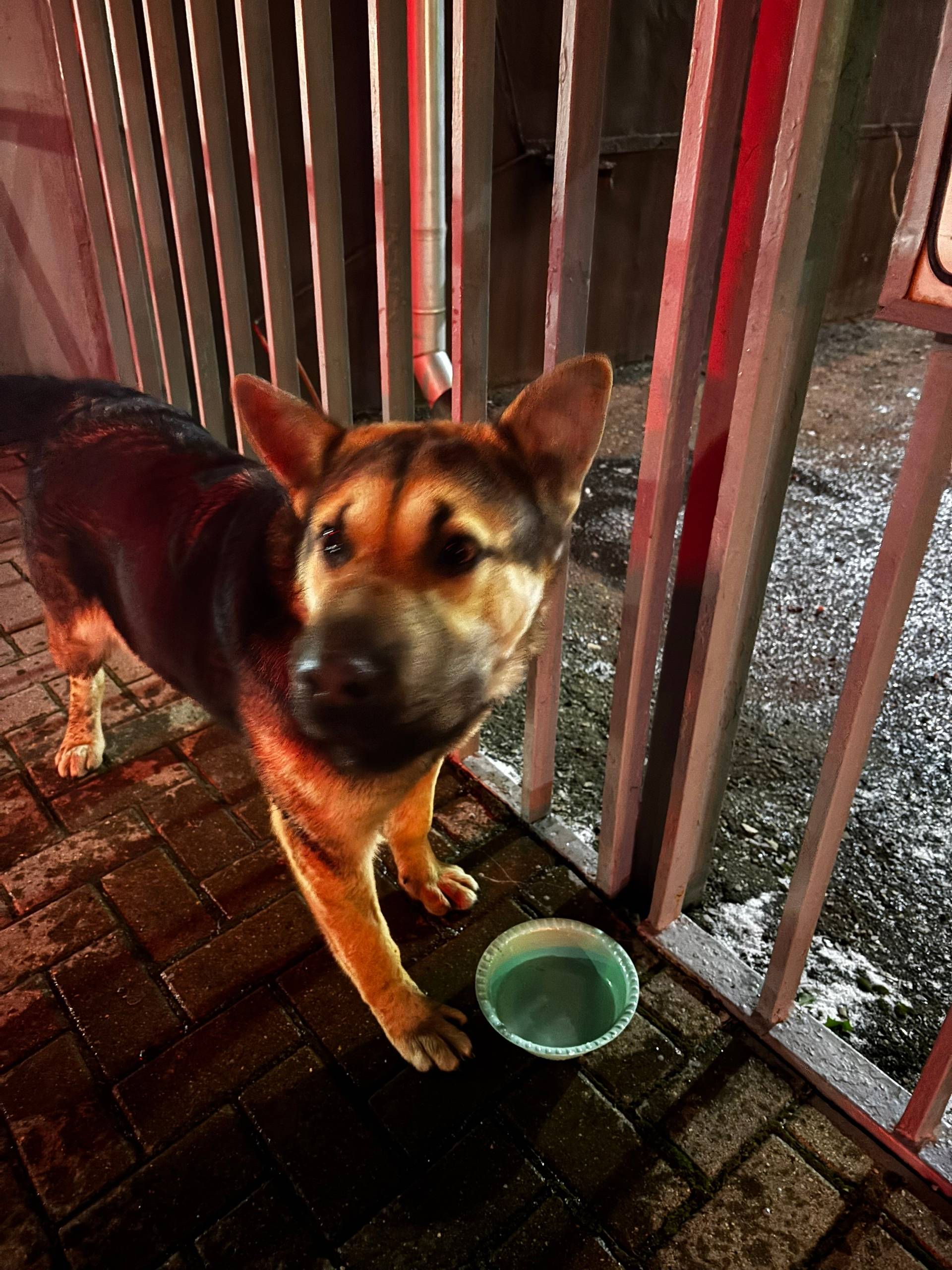 Около территории красного маяк...