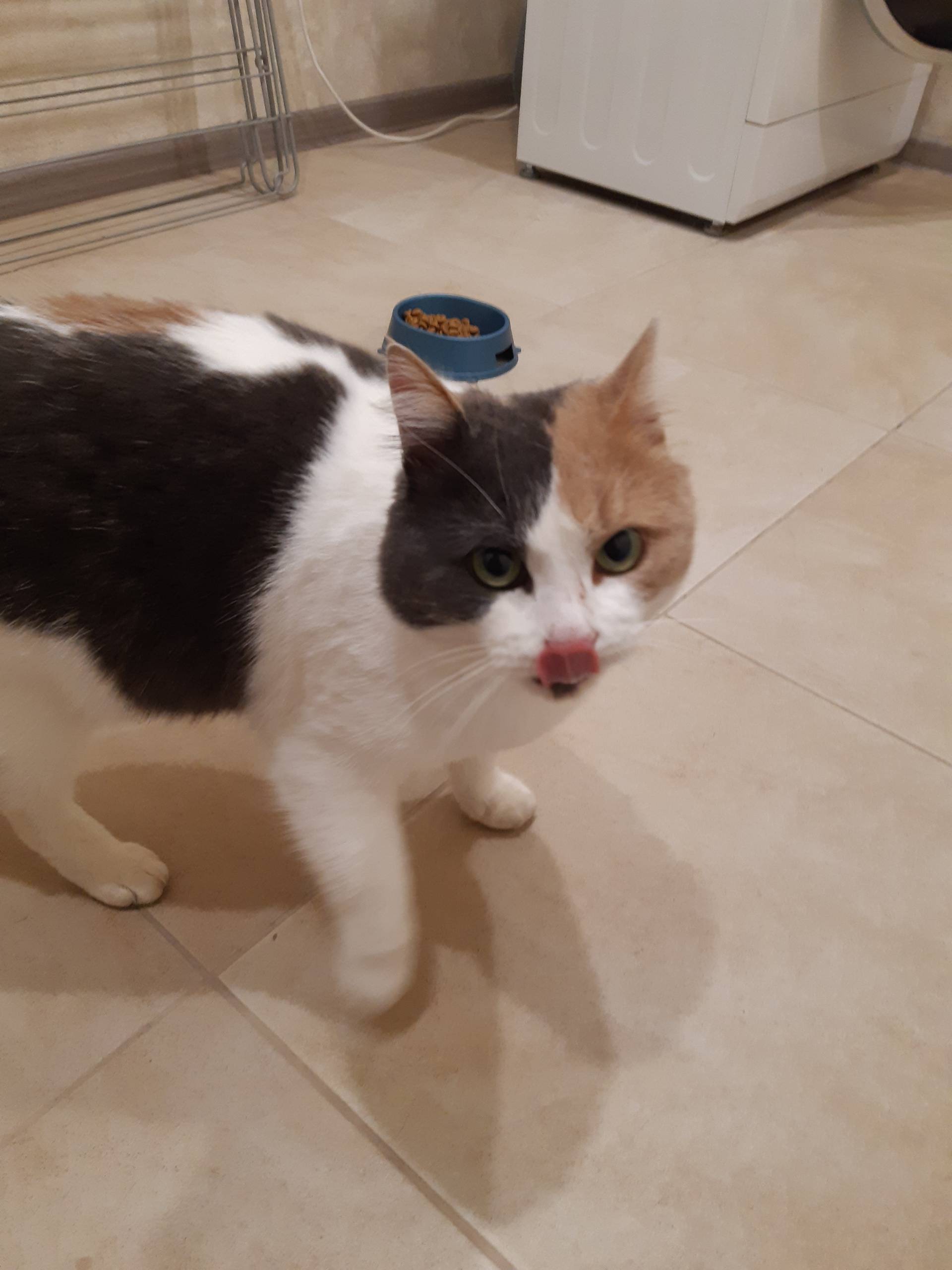 Балыково. В районе магазина Са...